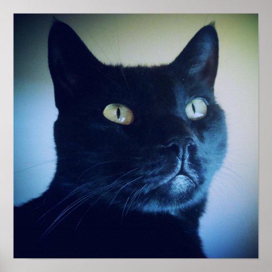 Ik ben katdruk poster (Voorkant)