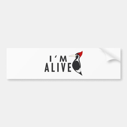 Ik ben live - Ivory Billing Woodpecker Bumpersticker (Voorkant)