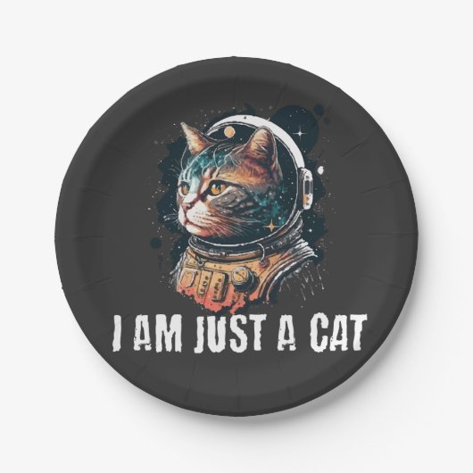 Ik ben maar een kat papieren bordje (Voorkant)