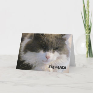 Ik ben Mad. Dat ik je geboortelecat heb gemist Kaart