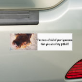 Ik ben meer bang voor je onwetendheid bumpersticker (Op auto)