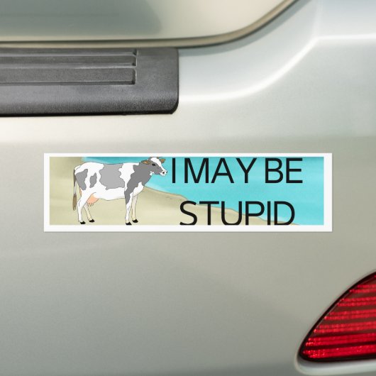 Ik ben misschien dom | BUMPERSTICKER | Meme Sticke (Op auto)
