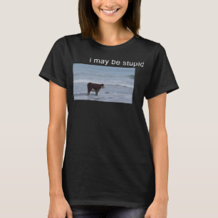 Ik Ben Misschien Domme Koe Meme ik ben misschien d T-shirt