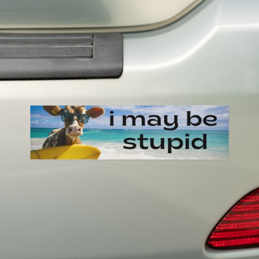 Ik ben misschien stom - grappige meme bumpersticker (Op auto)
