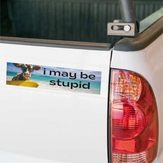 Ik ben misschien stom - grappige meme bumpersticker (Op Truck)