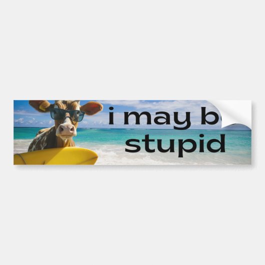 Ik ben misschien stom - grappige meme bumpersticker (Voorkant)