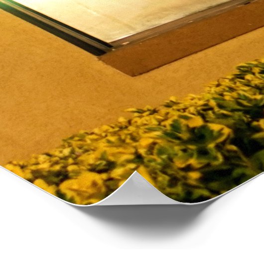 "Ik ben naar de bergtop geweest" Poster (Hoek)