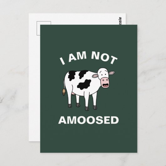 Ik ben niet blij met de grappige veeteelt-Koe. Briefkaart (Voorkant / Achterkant)