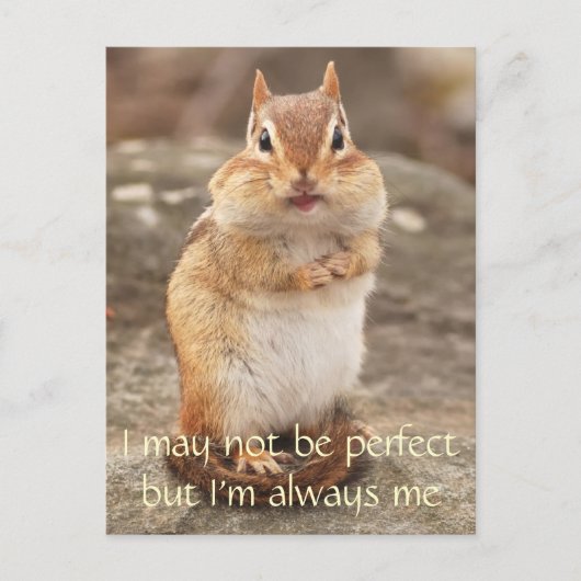 Ik ben niet de perfecte Chipmunk Quote Briefkaart (Voorkant)