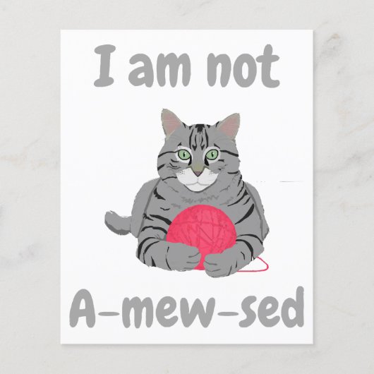 Ik ben niet geamegeerd. Funny cat chonk t-shirt (Voorkant)