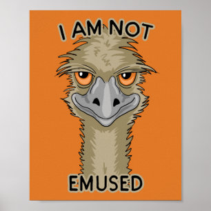 Ik ben niet gewijd aan Funny Emu Pun   SINAASAPPEL Poster