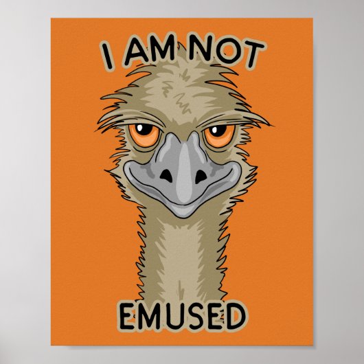 Ik ben niet gewijd aan Funny Emu Pun | SINAASAPPEL Poster (Voorkant)