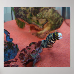 Ik ben NIET glibberig. Poster