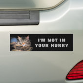 Ik ben niet in je Haast Cat Meme Bumpersticker (Op auto)