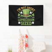 Ik ben niet klein, ik ben Leprechaun-formaat voor Spandoek (Insitu)