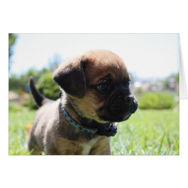 Ik ben niet leuk (Voorkant Horizontaal)