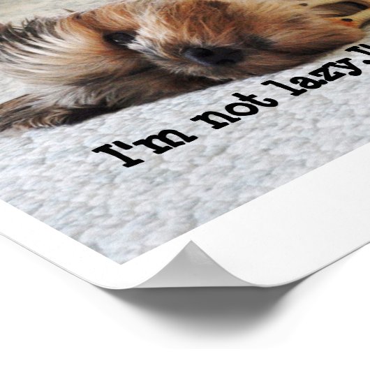 "Ik ben niet lui" Value Poster (Hoek)