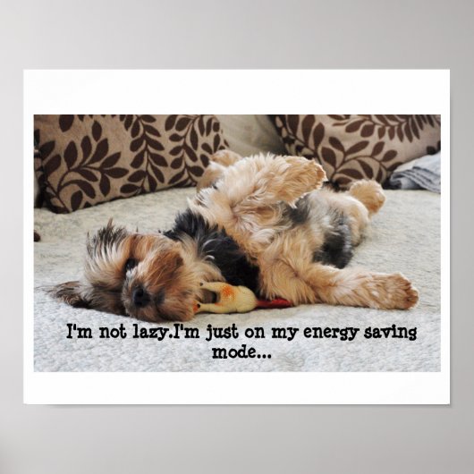 "Ik ben niet lui" Value Poster (Voorkant)