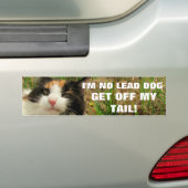 Ik ben No Lead Dog Cat Meme Bumpersticker (Op auto)