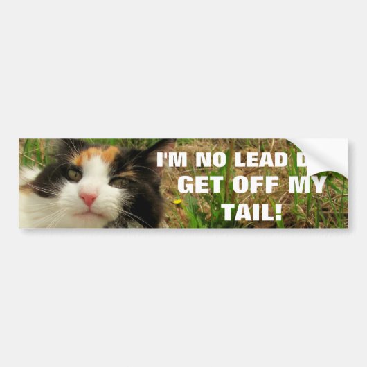 Ik ben No Lead Dog Cat Meme Bumpersticker (Voorkant)
