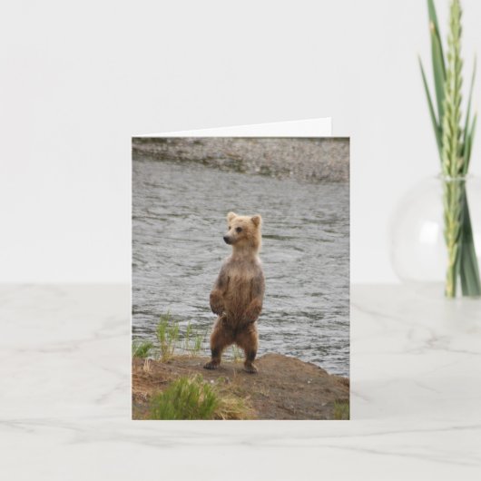 Ik ben nog steeds hier in beer. kaart (Voorkant)