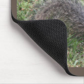 Ik ben Nuts over jou Mousepad. Muismat (Hoek)