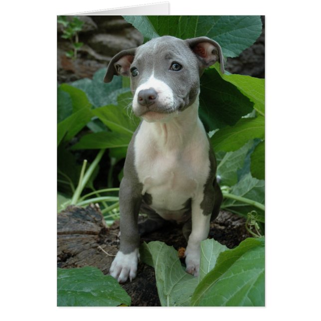 Ik ben Olive (Voorkant)