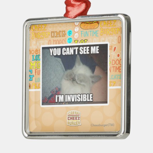 Ik ben onzichtbaar metalen ornament (Links)