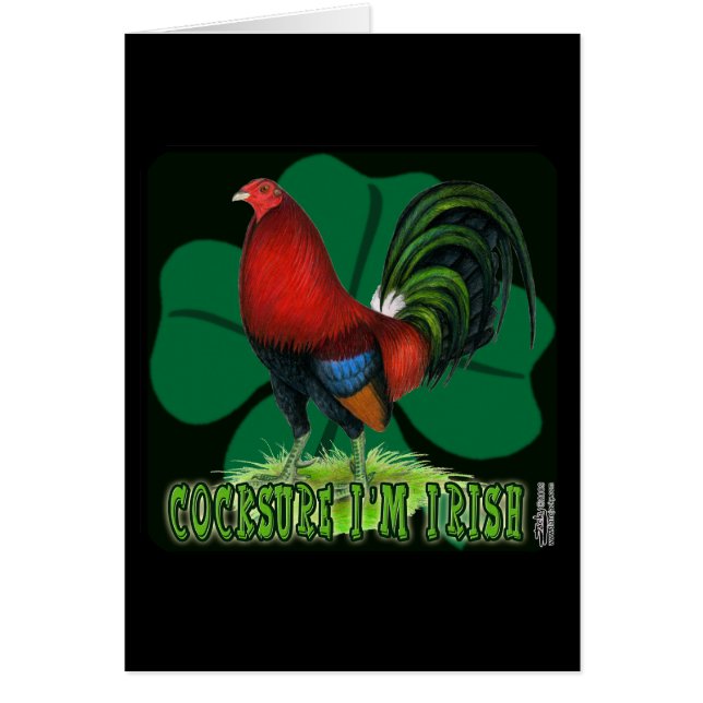 Ik ben ook Iers. (Voorkant)