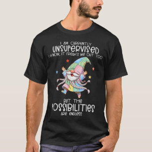 Ik Ben Op Dit Moment Niet Onder Toezicht Ik Weet D T-shirt