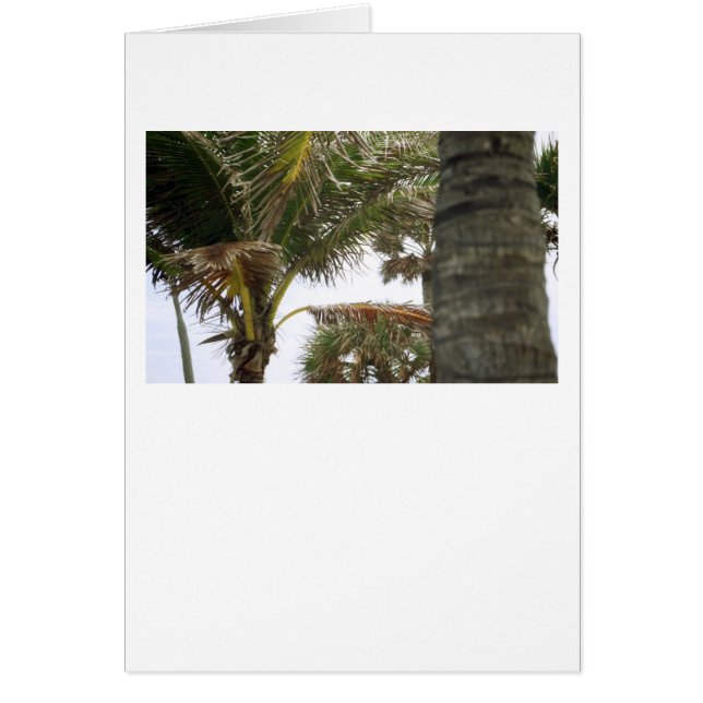 Ik ben op Island Time. (Voorkant)