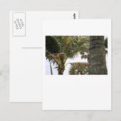 Ik ben op Island Time. Briefkaart (Voorkant / Achterkant)