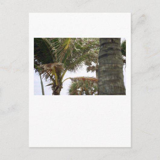 Ik ben op Island Time. Briefkaart (Voorkant)