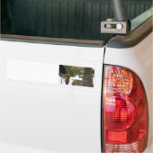 Ik ben op Island Time. Bumpersticker (Op Truck)