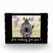 Ik ben op zoek naar je Zebra foto met tekst (Voorkant)