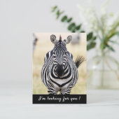 Ik ben op zoek naar je Zebra foto met tekst Briefkaart (Staand voorkant)