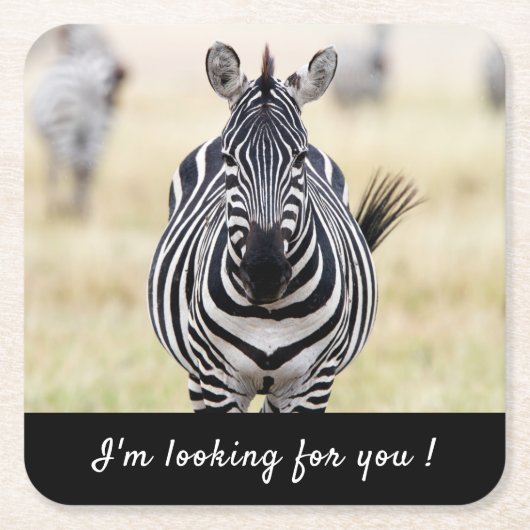 Ik ben op zoek naar je Zebra foto met tekst Kartonnen Onderzetters (Voorkant)