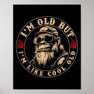 Ik ben oud, maar ik ben als een coole oude grappig poster