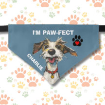 IK BEN PAW-FECT FUN DOG PAWS HARTNAAM