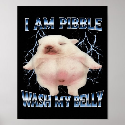 Ik Ben Pibble Was Mijn Buik Grappige Hond Maak Mij Poster (Voorkant)