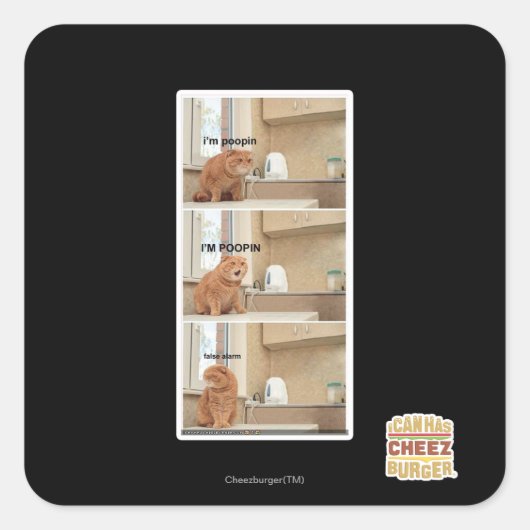 Ik ben poopin. vierkante sticker (Voorkant)