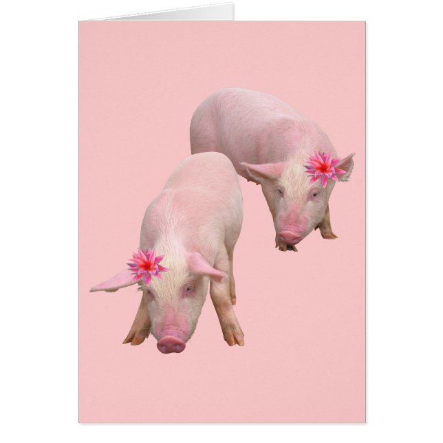 Ik ben prachtig (Voorkant)