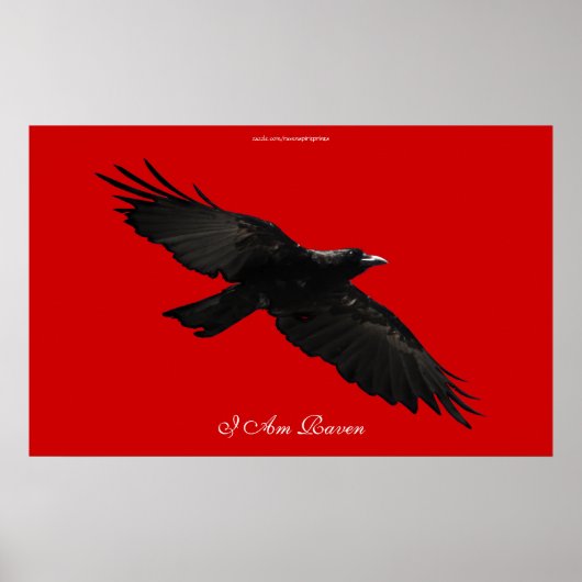 IK BEN RAVEN III Vliegend Black Raven Art Poster (Voorkant)