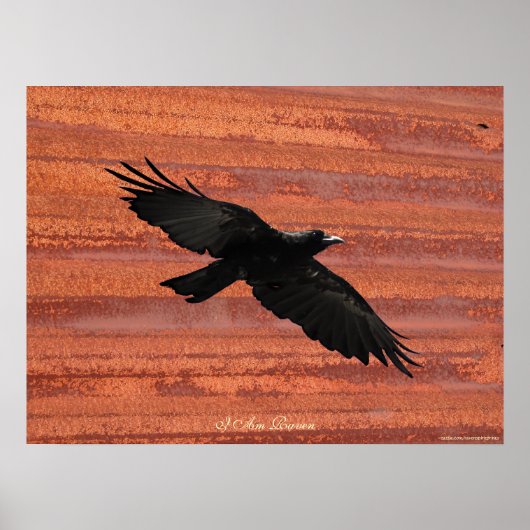 IK BEN RAVEN III Vliegend Black Raven Art Poster (Voorkant)