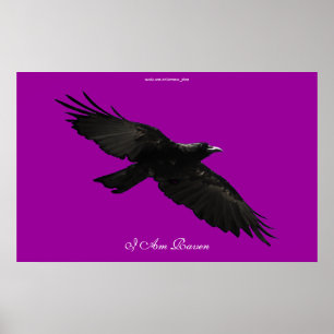 IK BEN RAVEN III Vliegend Black Raven Art Poster