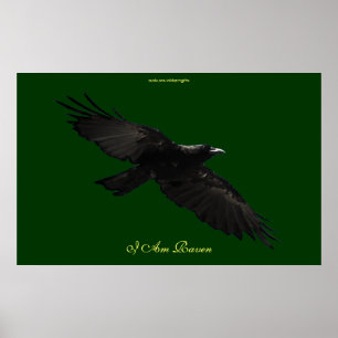 IK BEN RAVEN III Vliegend Black Raven Art Poster