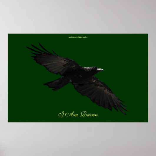 IK BEN RAVEN III Vliegend Black Raven Art Poster (Voorkant)