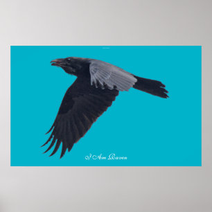 IK BEN RAVEN V Flying Black Raven Art Poster