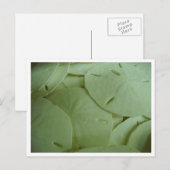 Ik ben rijk! briefkaart (Voorkant / Achterkant)