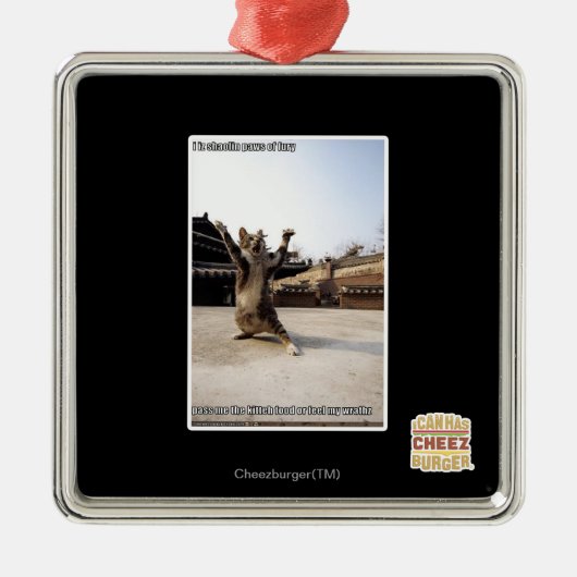 Ik ben schaduwpoten van woede metalen ornament (Voorkant)